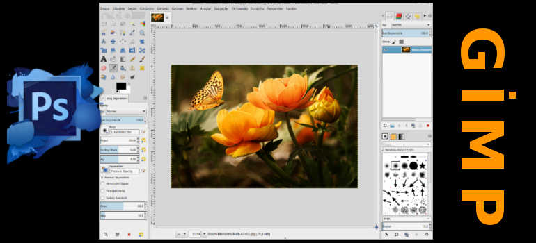 GİMP NEDİR?